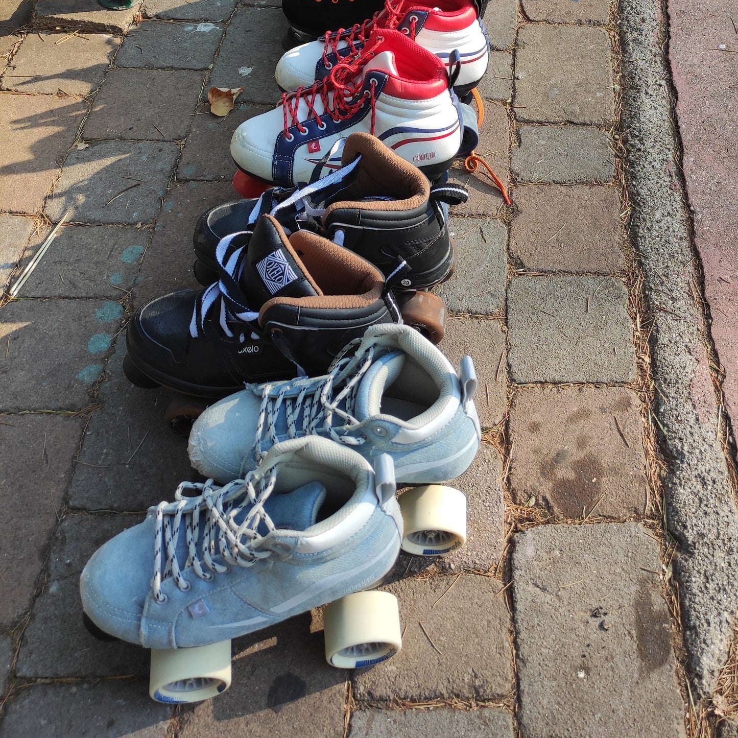 Servizio di controllo del pattino, pulizia e consulenza